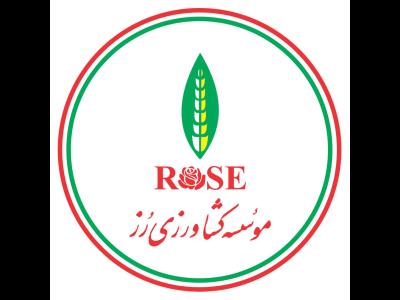 موسسه کشاورزی رز(گل فروشی رز) - دسته گل عروس - Rose-Florist-ir - یوسف آباد - منطقه 6 - تهران